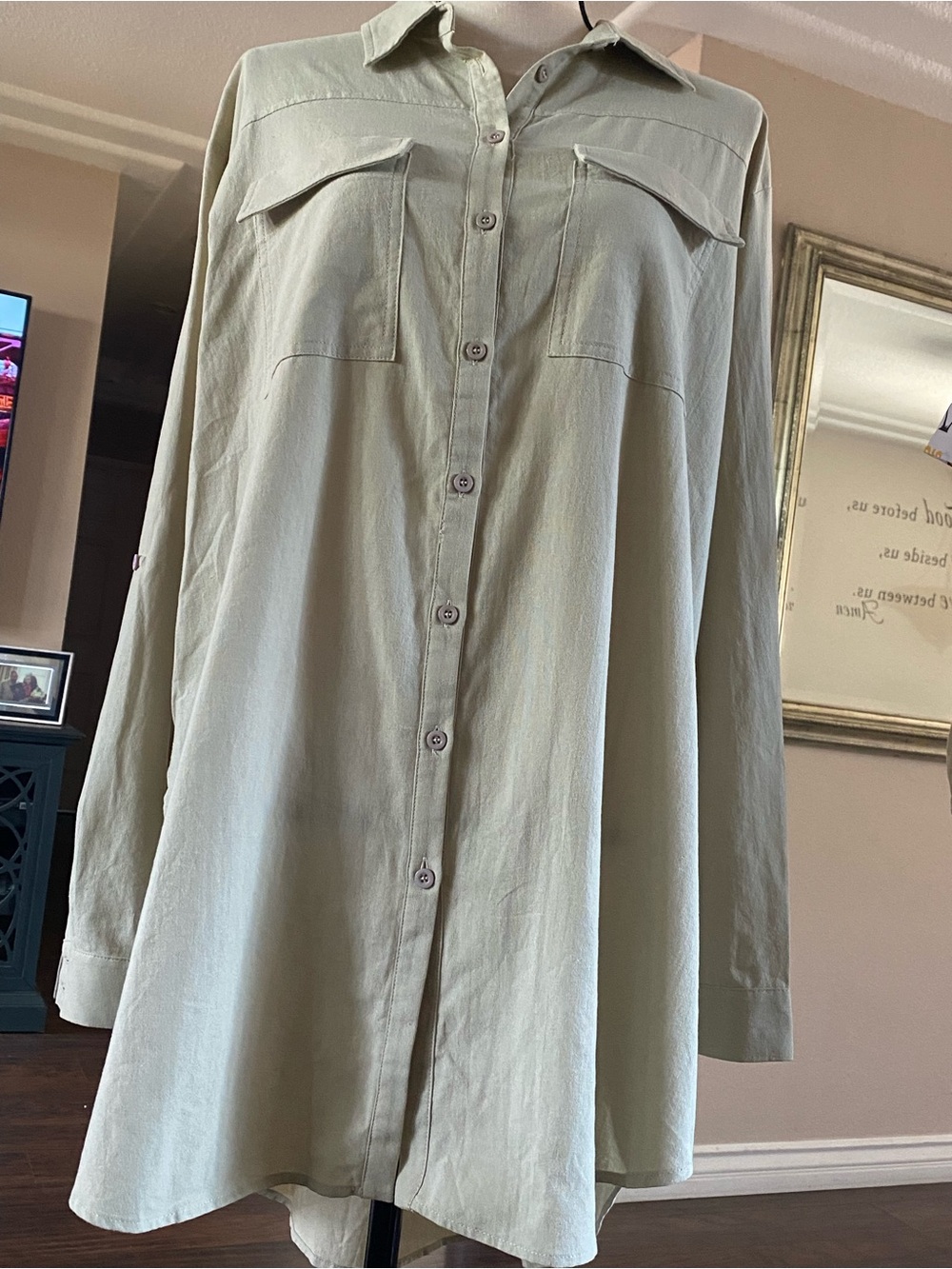 Light Sage Button-Front Shirt Dress